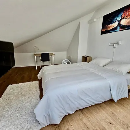 Hotel Cosy Private In Center Lausanne