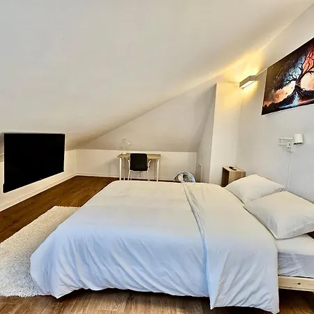 Hotel Cosy Private In Center Lausanne